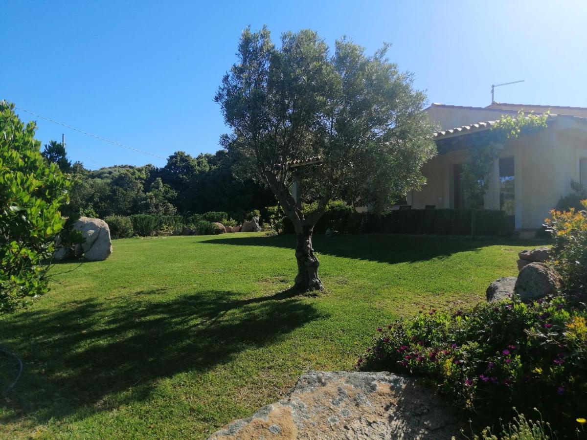 Agriturismo Fioredda Aglientu Extérieur photo